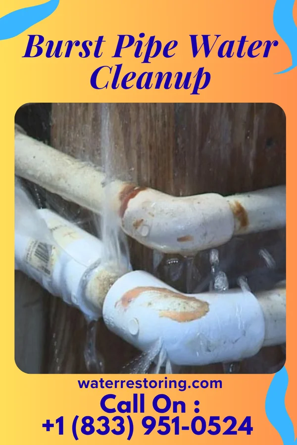 Burst Pipe Water Cleanup in Moose Run, PA