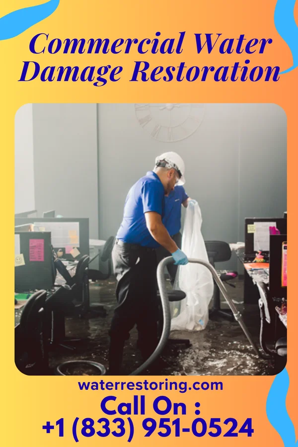 Commercial Water Damage Restoration in Moose Run, PA